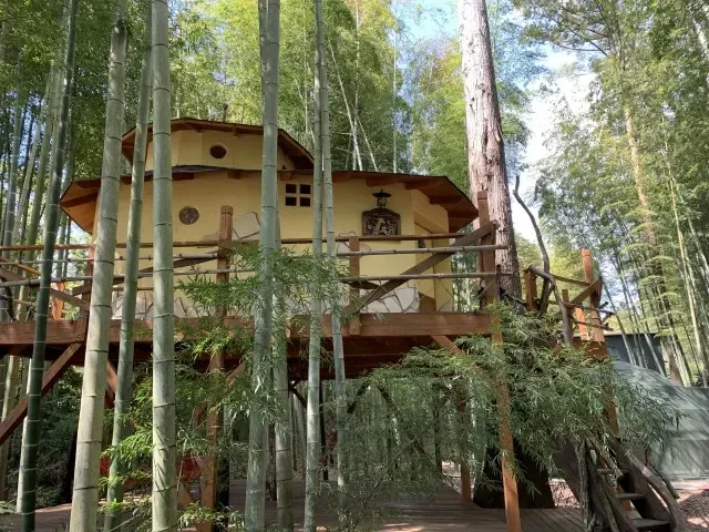 Bamboo Forest KAGUYA