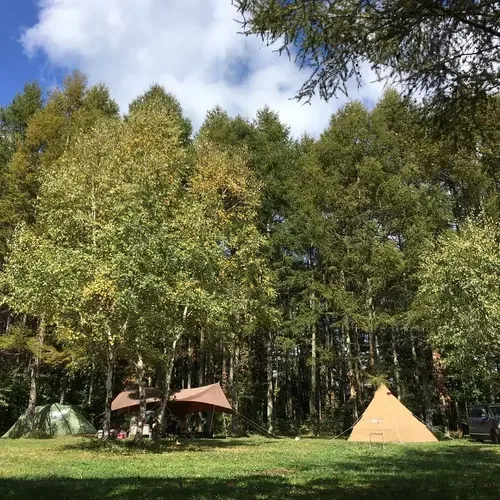 Camp Momo & Kite