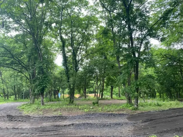 Kakureyama Shirotori Camp Site