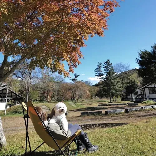 Campin Dorobukkuru