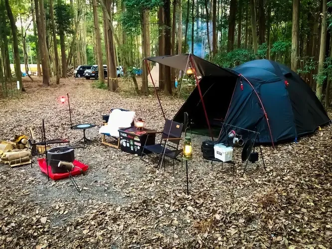 evergreen camp
