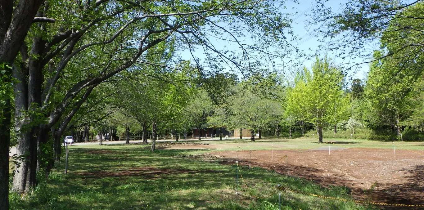 FBR Forest Base Rokko