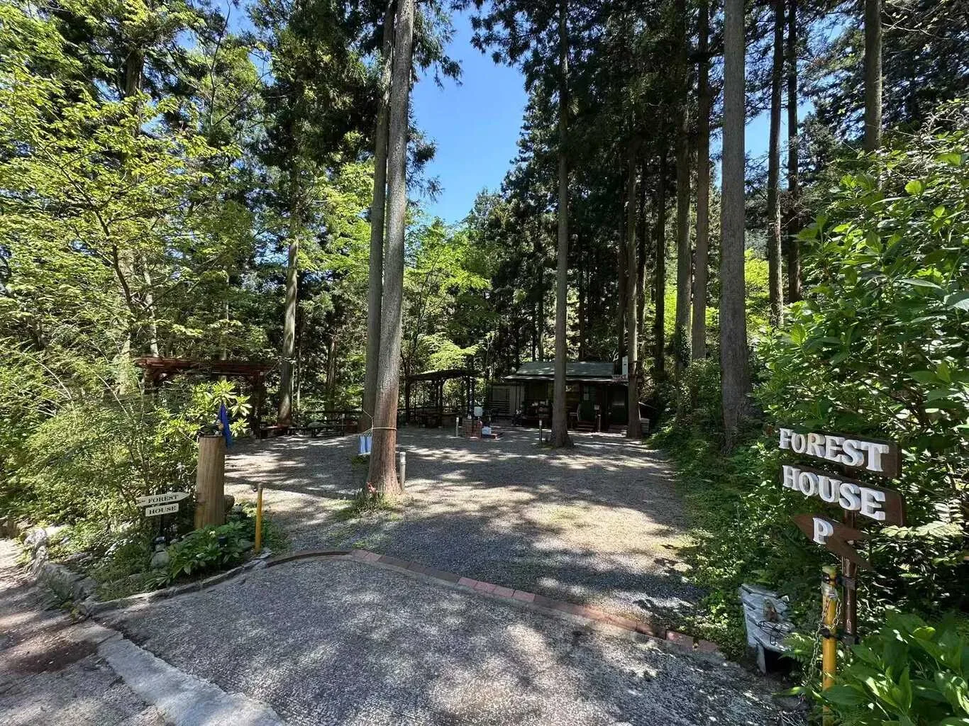 FOREST HOUSE
