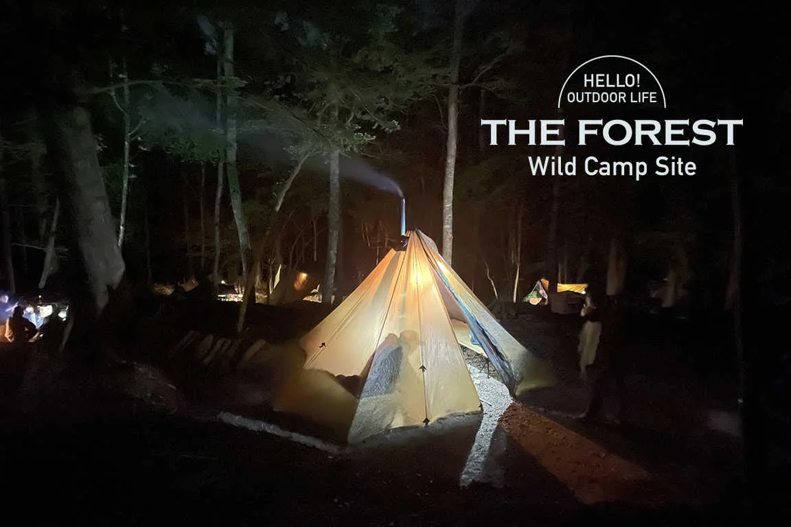 FOREST MUSIC