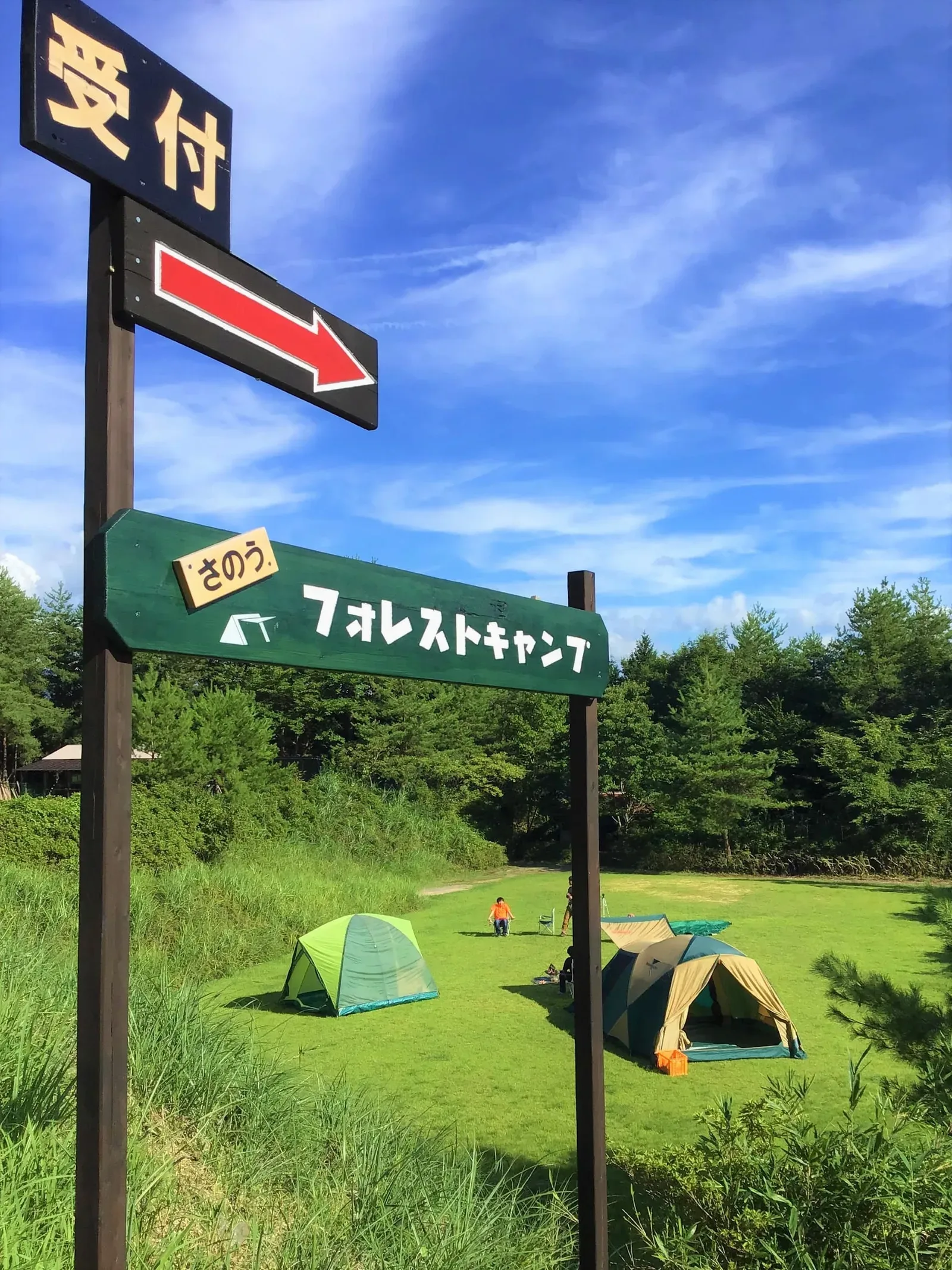 【FORESTREA】Sanou Forest Camping