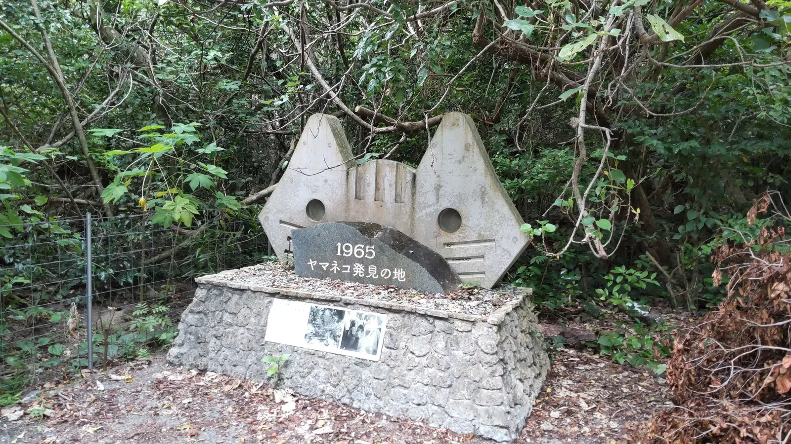 Sanbiki No Neko Camping Site
