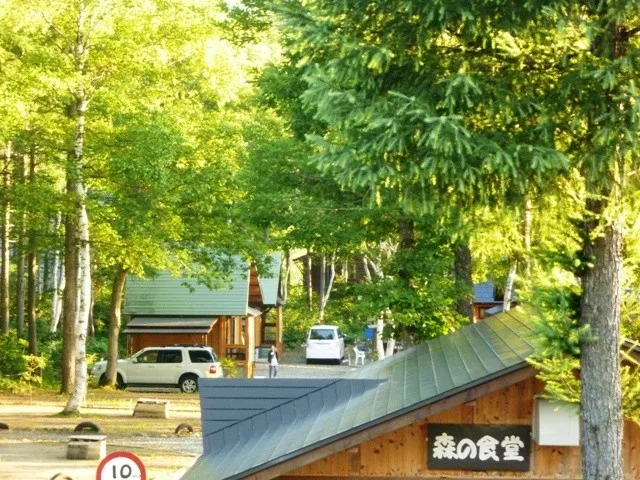 Donguri Forest Campground