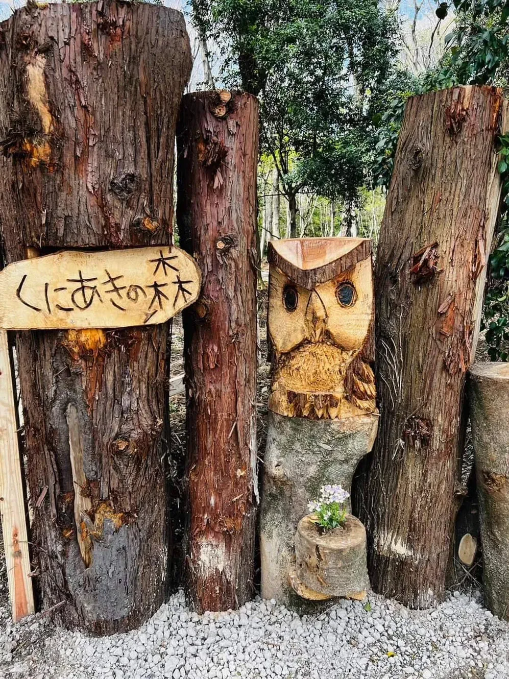 Kuniaki Forest