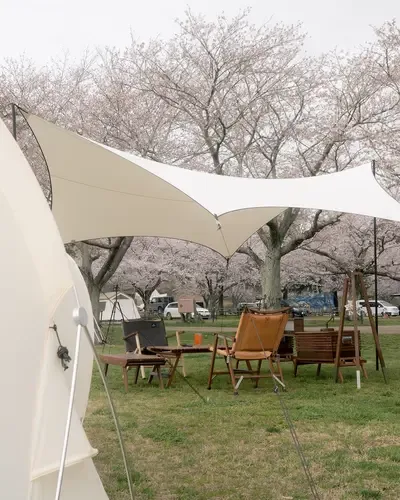 Shawaa Shitsu Narita Yume Ranch