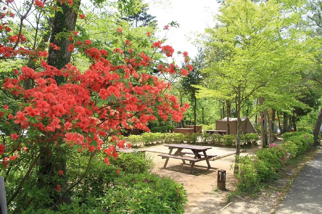 Kenritsu Kiyokazu Kenmin Forest Kanrijimusho Ki Nofurusato Kan