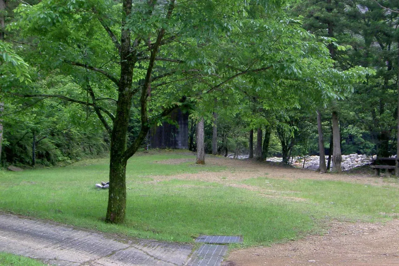 藤河内渓谷キャンプ場