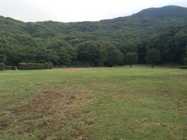 静岡県県民の森キャンプ場