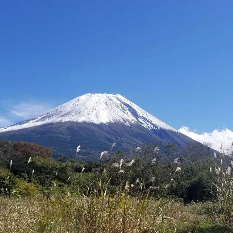 Hidaka Mura Kinzan Doudan Campground