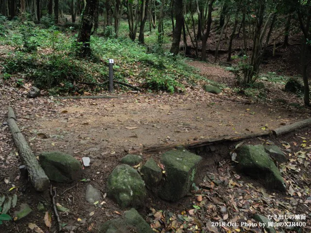Shin Saka Nature Forest Campground