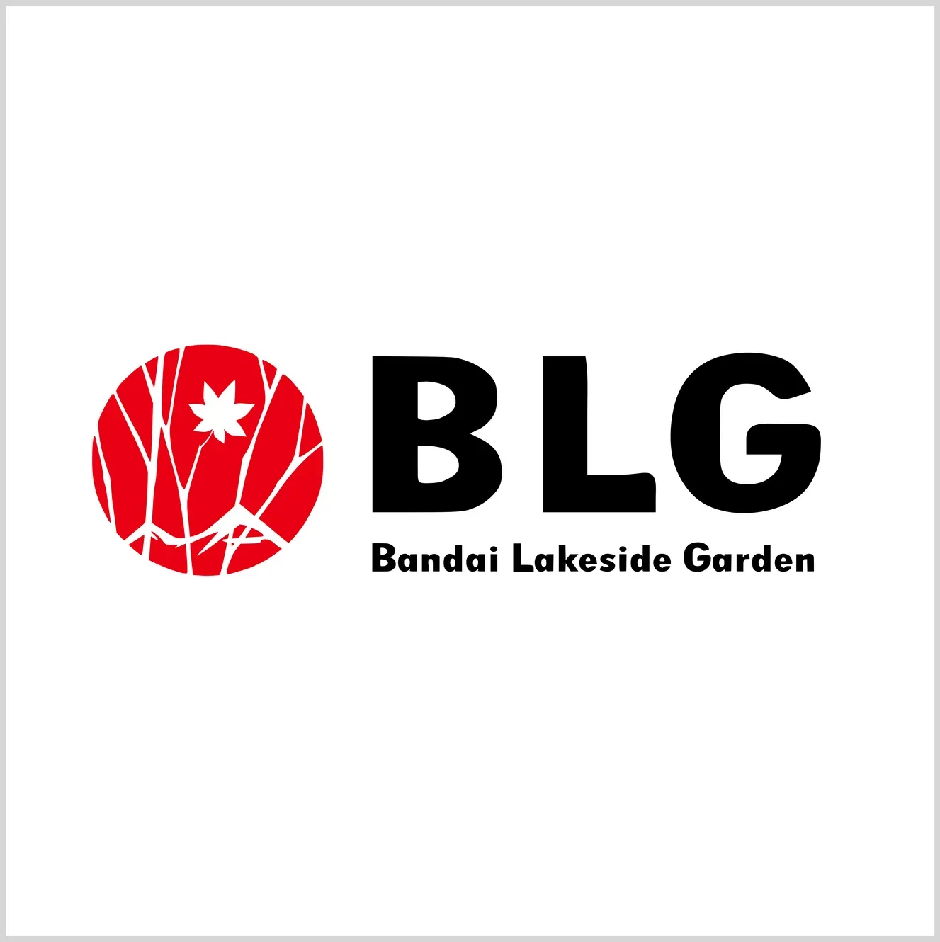 BLG