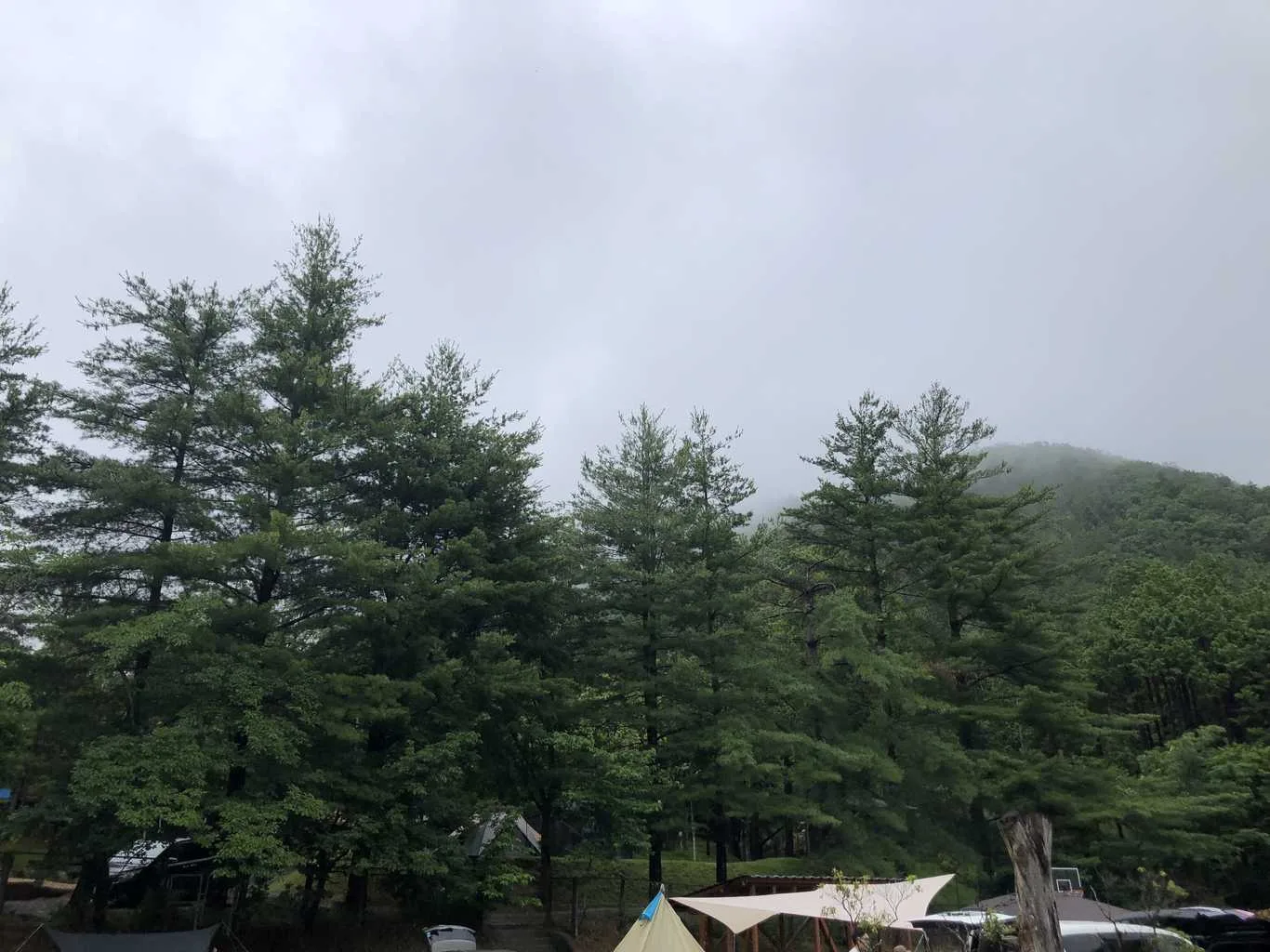 Nose Hot Spring Campground