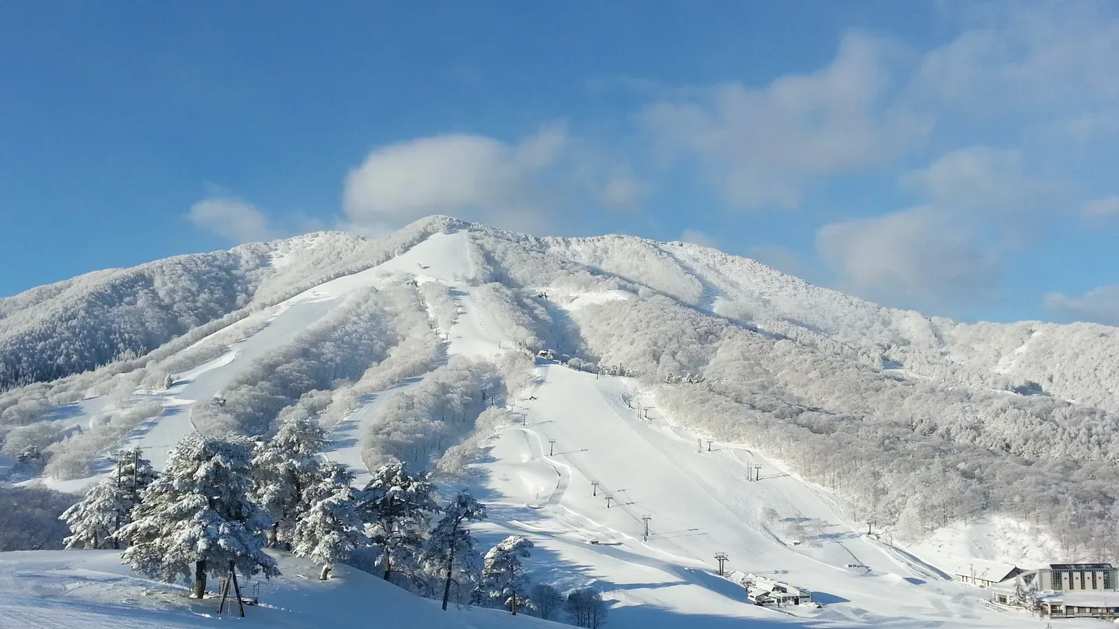 Madarao Highlands Kyanpingu Park
