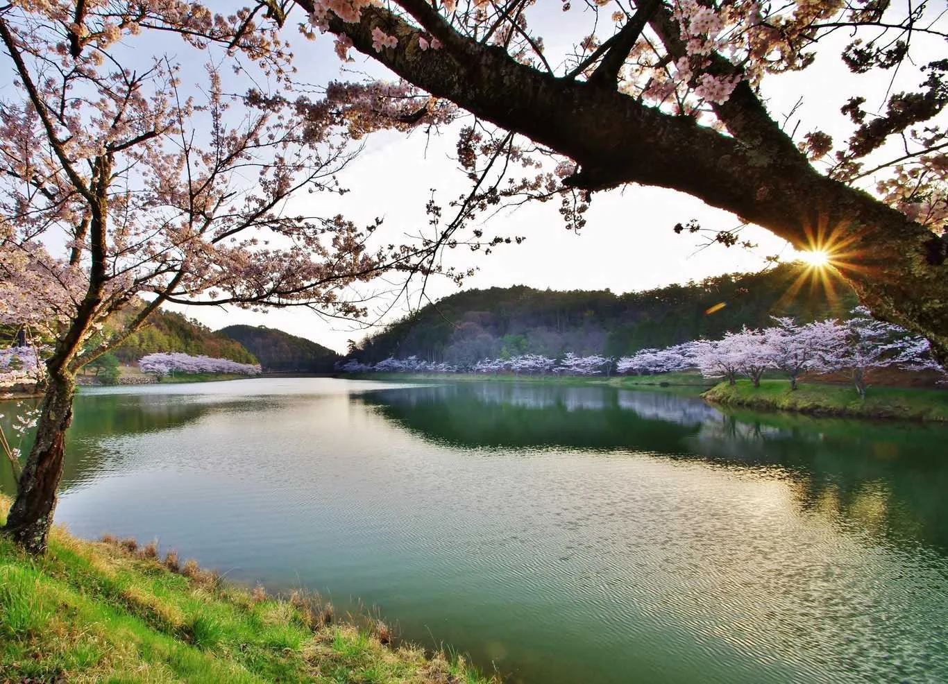 Narutaki Shinrin Park
