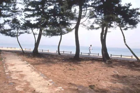 Ame Sei Campground