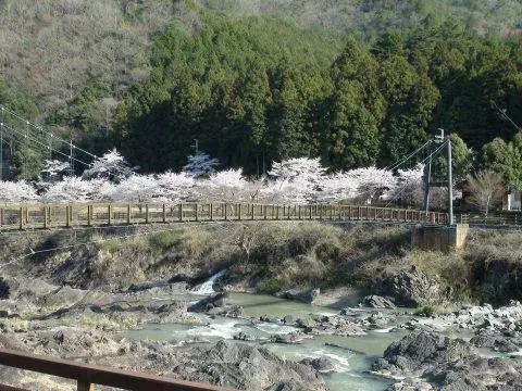 川代公園キャンプ場