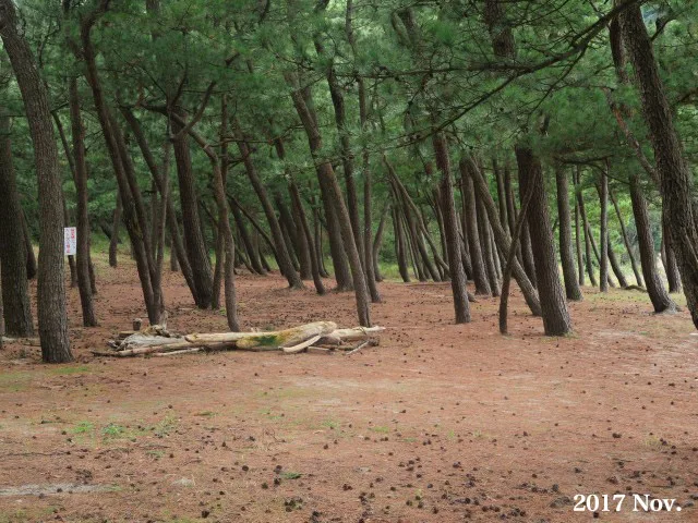Kunisaki Park Campground