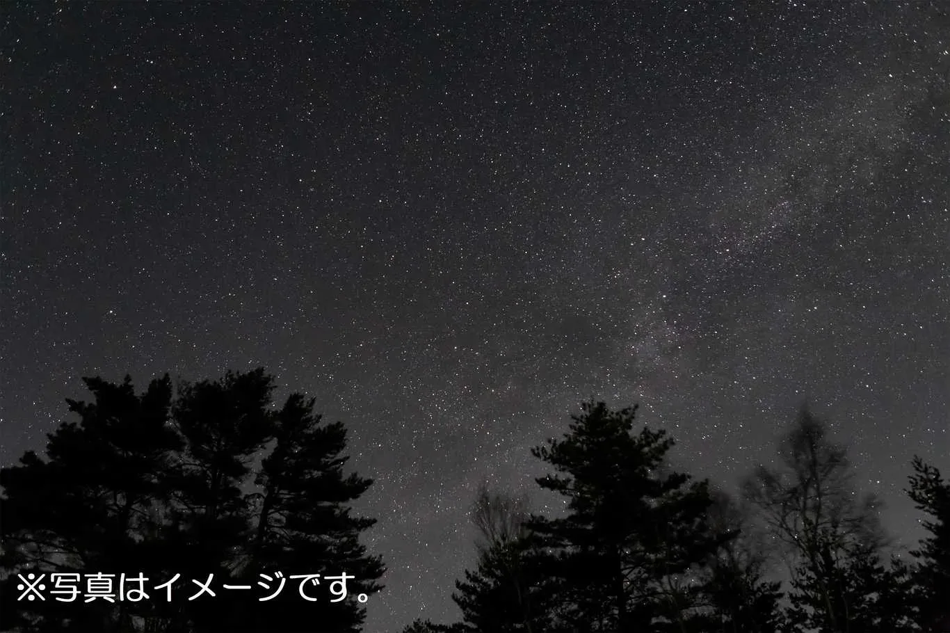 Shikoku Yoshinogawa Auto Campground