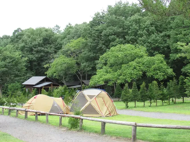 Miyama Kurumi Forest Campground