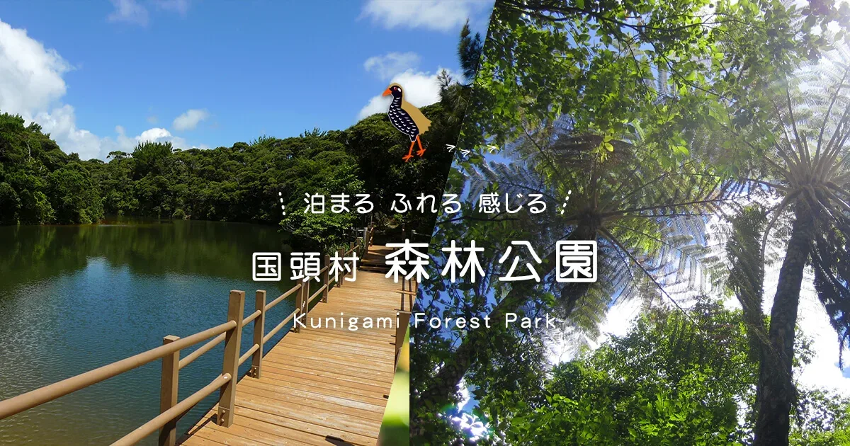 Kunigami Mura Shinrin Park Hoshi - Mori No Campground