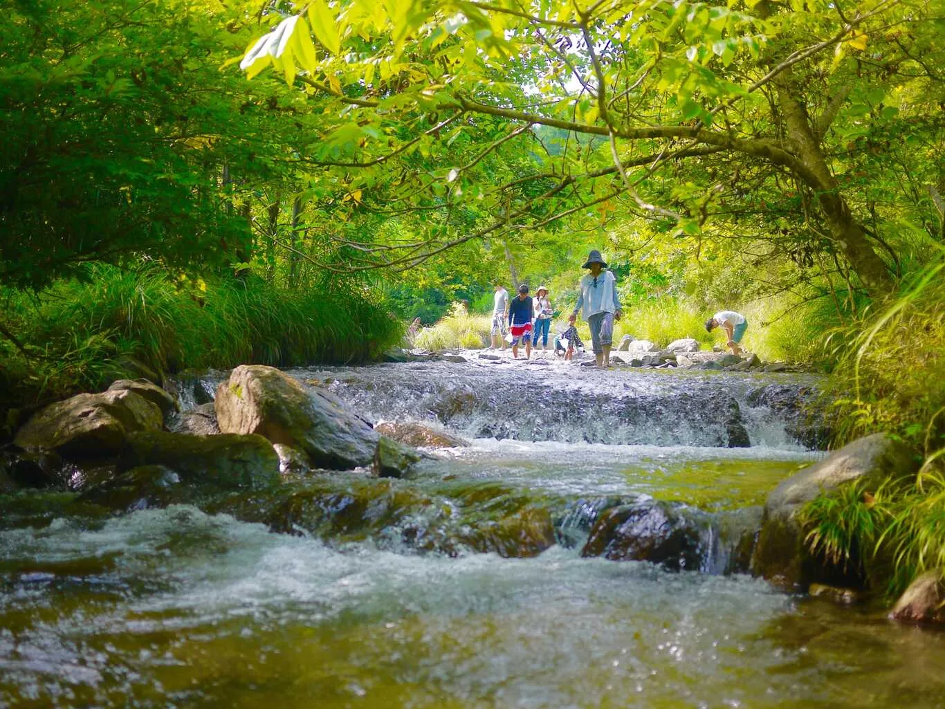 Kikugawa Nature Katsuyou Mura