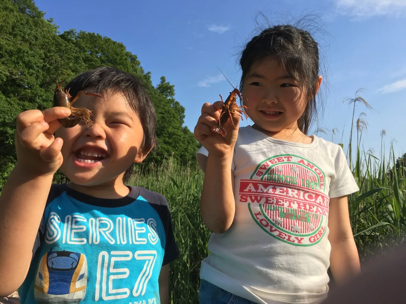 Gifushi Shounen Nature No Ie Campground
