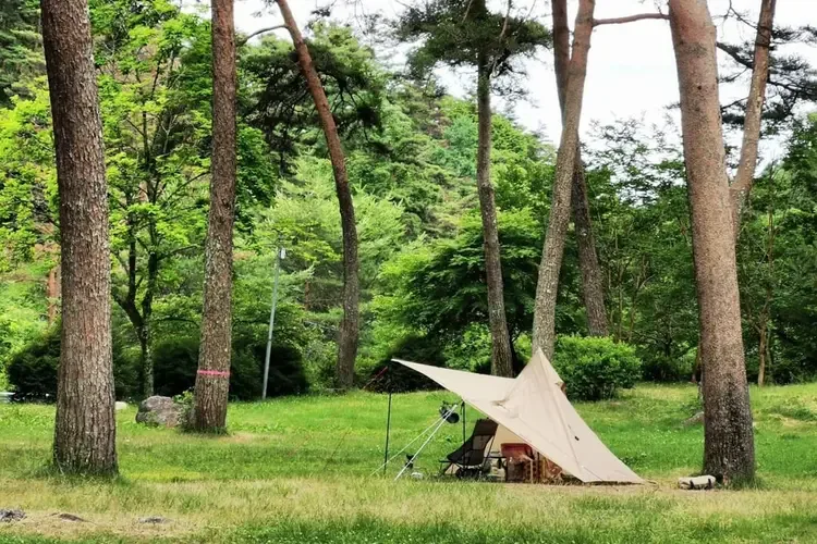 妙琴公園キャンプ場