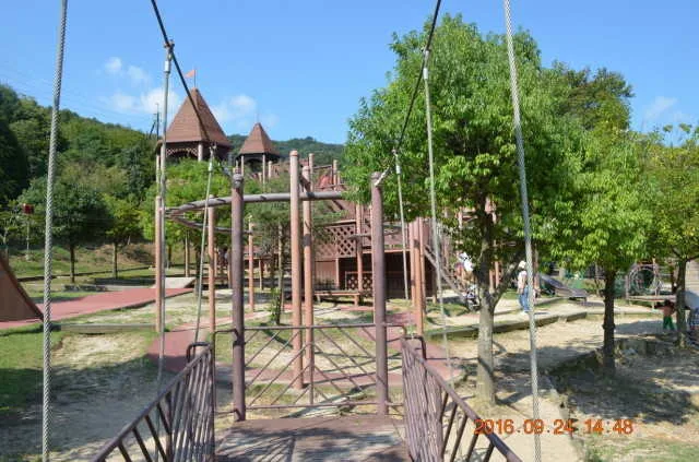 Ikoi Forest Campground
