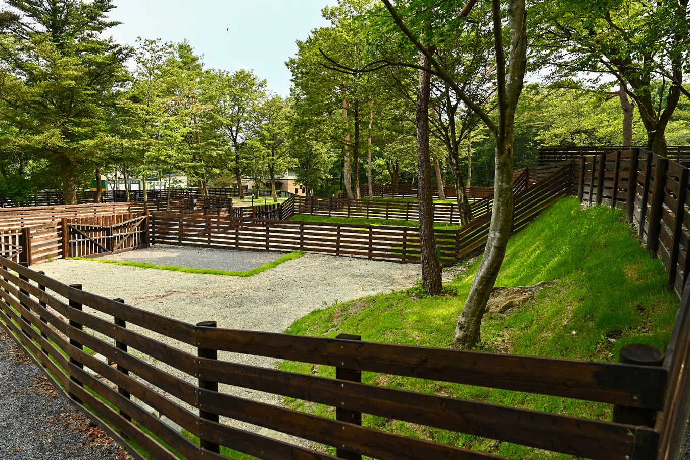 ガリバーウッズパーク(キャンプ場)