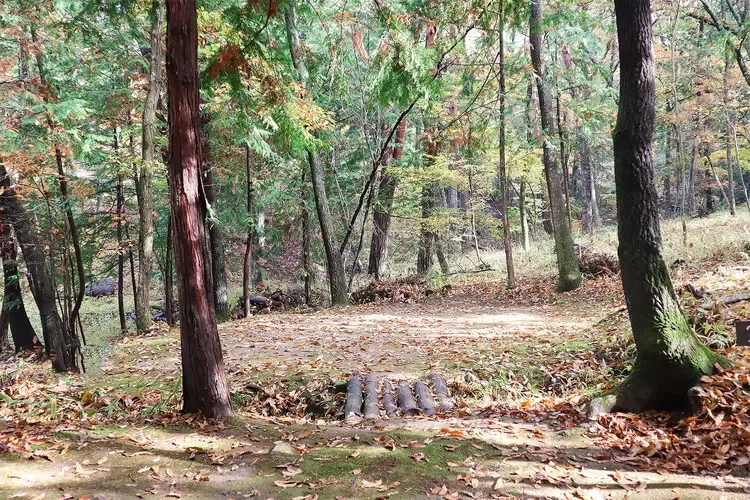 Kurosaki Auto Campground
