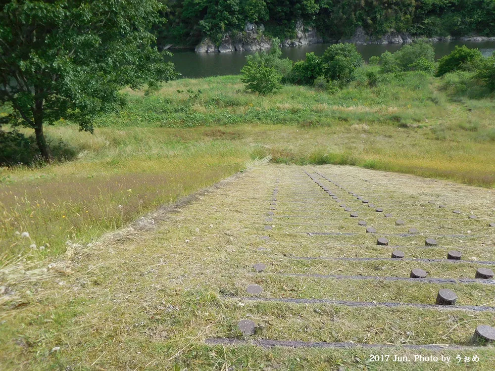 浮島わんぱる