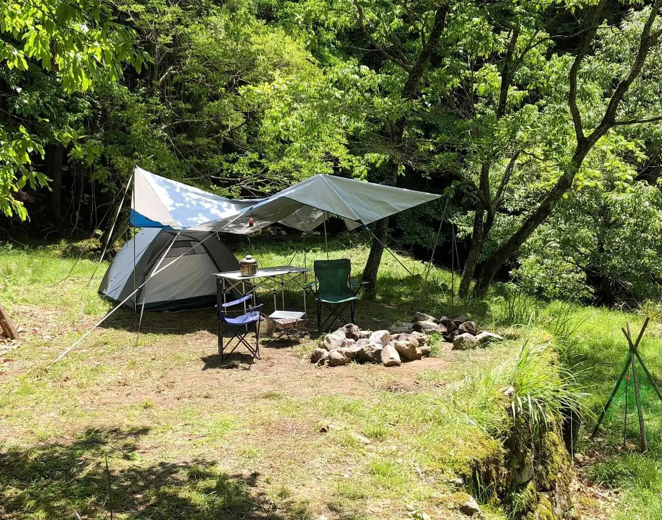 Uta Forest Campground