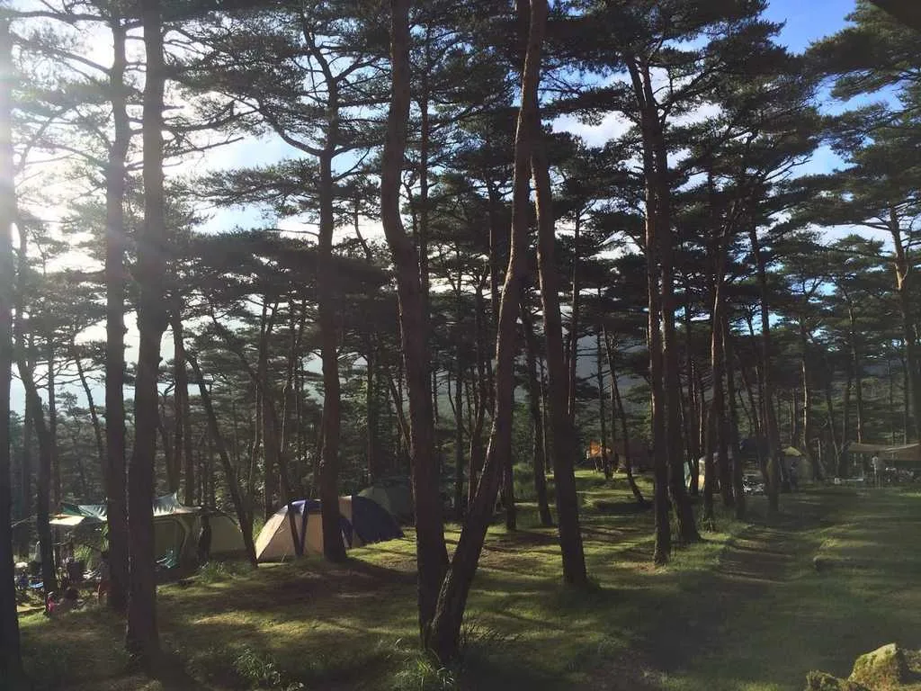 Ebino Highlands Hot Spring Camping Mura