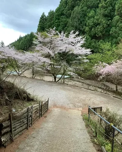 Konomasawa Campground