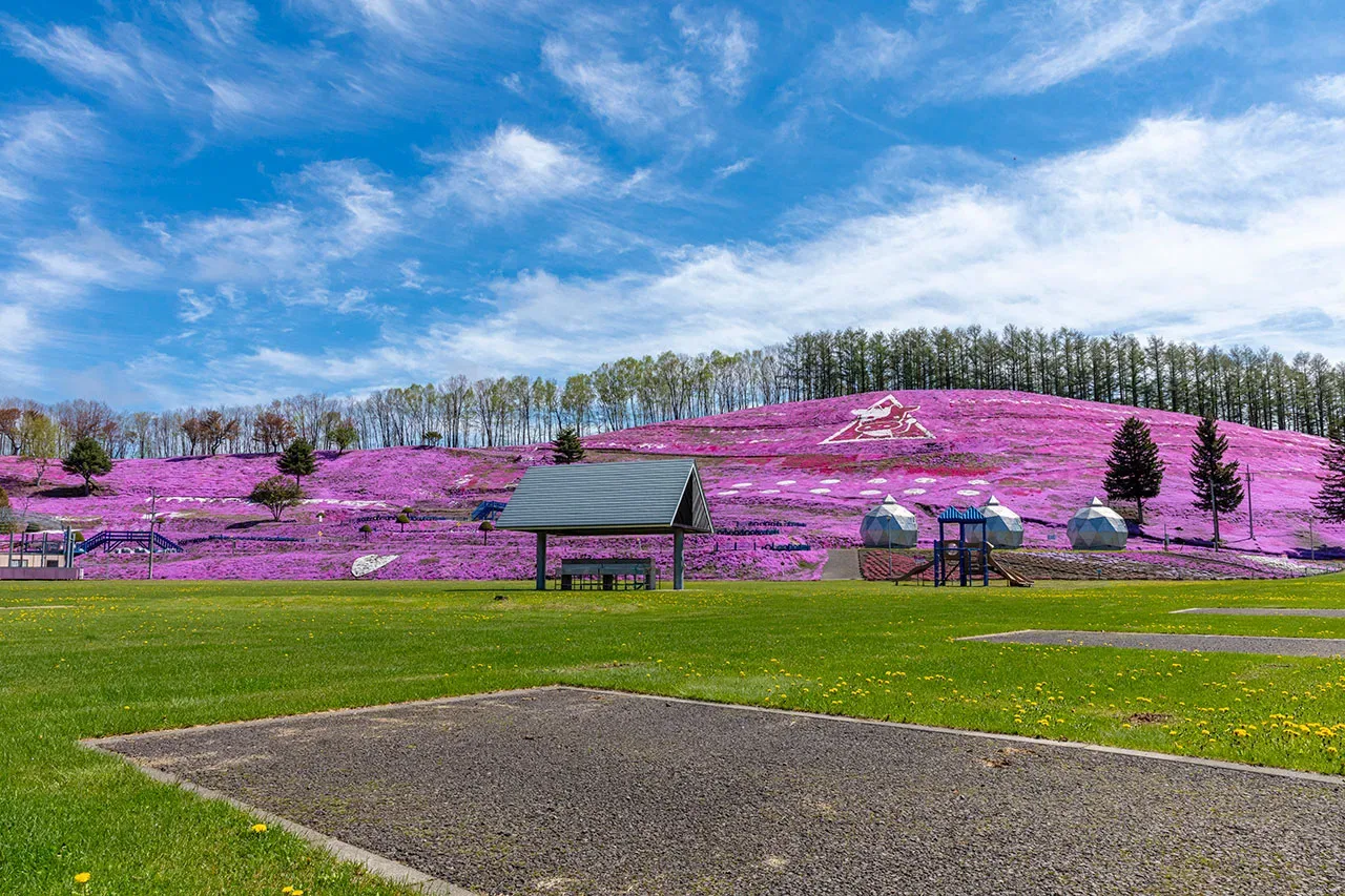 ひがしもこと芝桜公園キャンプ場