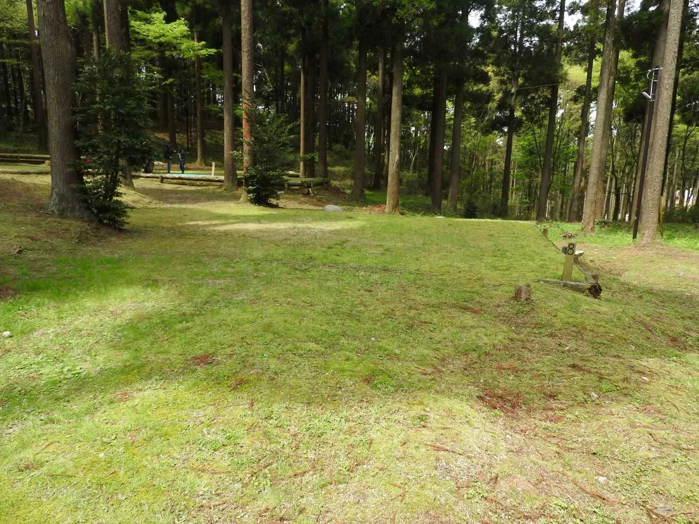 Ito Shima Shi Shinrin Park Manako Ki No Kaori Rando Campground