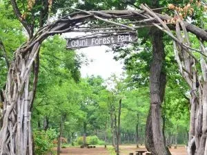 Nagaokashi Oguni Shinrin Park Mori No Campground