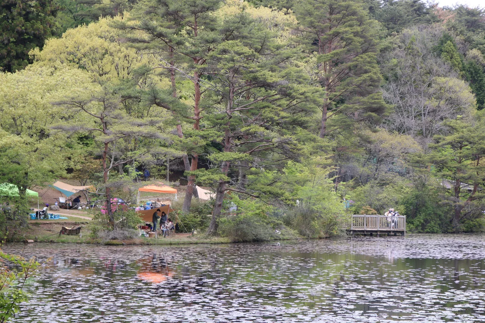 Gokuraku Terayama Kei Forest Campground