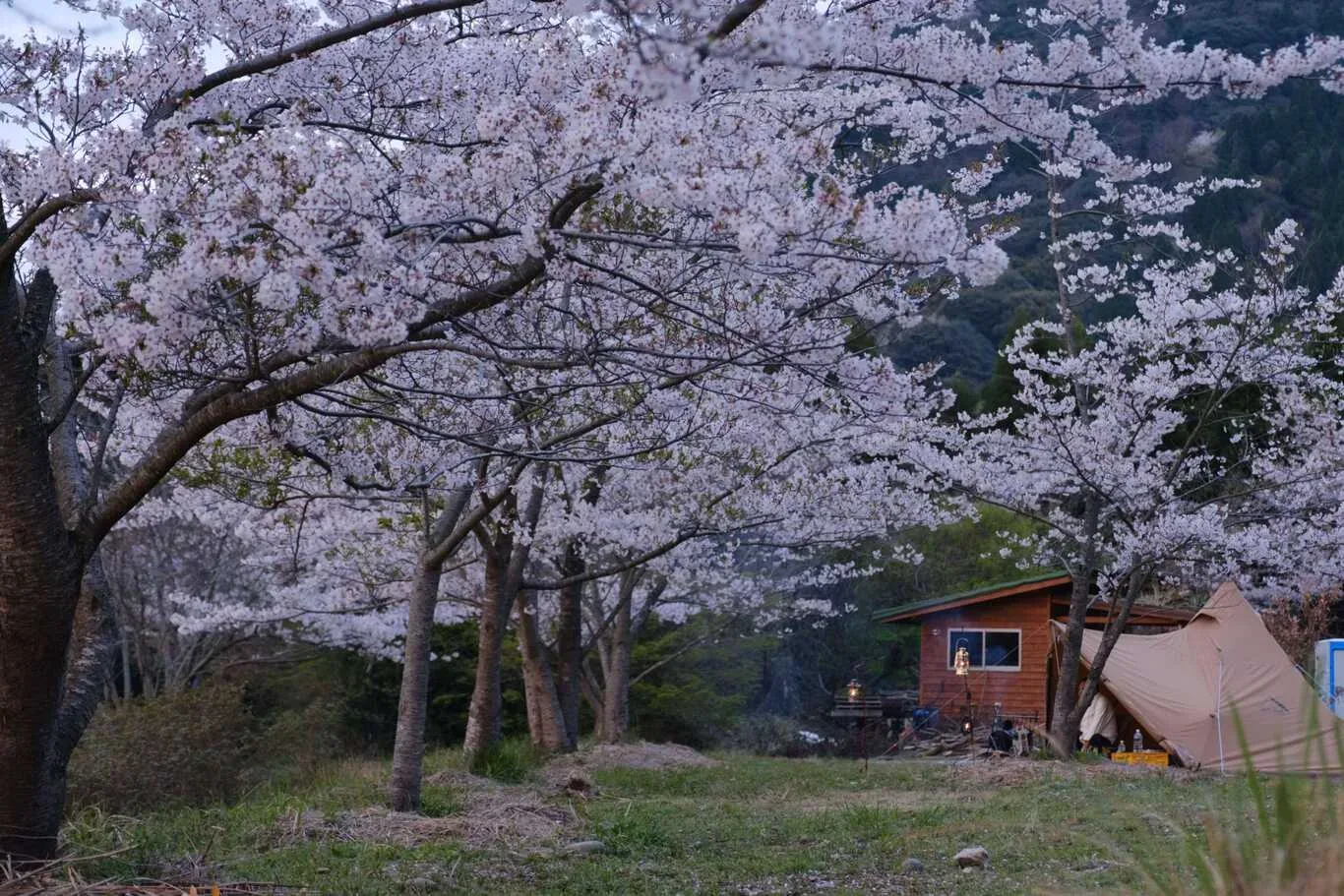 Yaei Sen Yama Hachimen Yama Campground