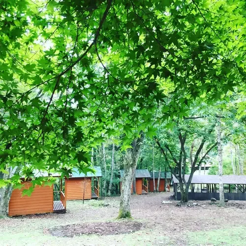 Akakura Forest Auto Campground