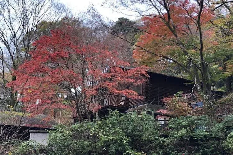 Iseya Cabin