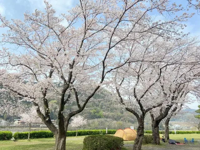 Ue Ooshima Campground