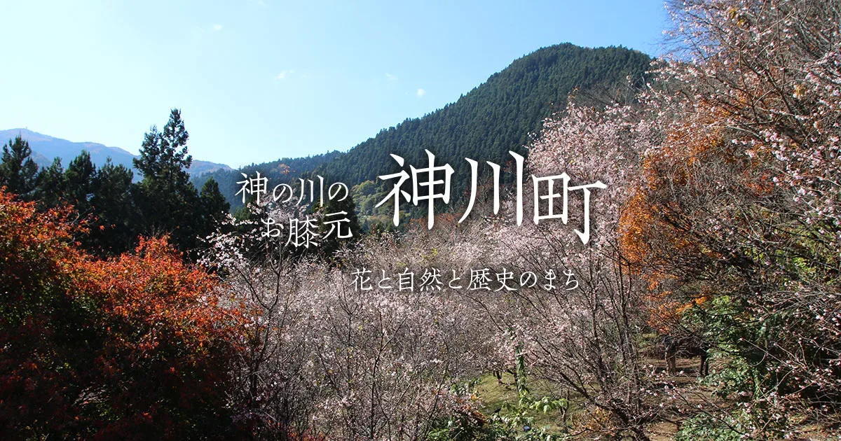 Kamikawa Yu Yu Rando Jiyuu Plaza