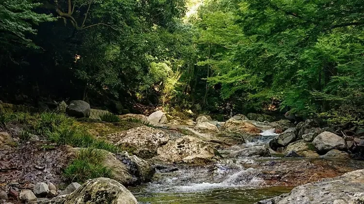 Kuroki Minshuku Campground