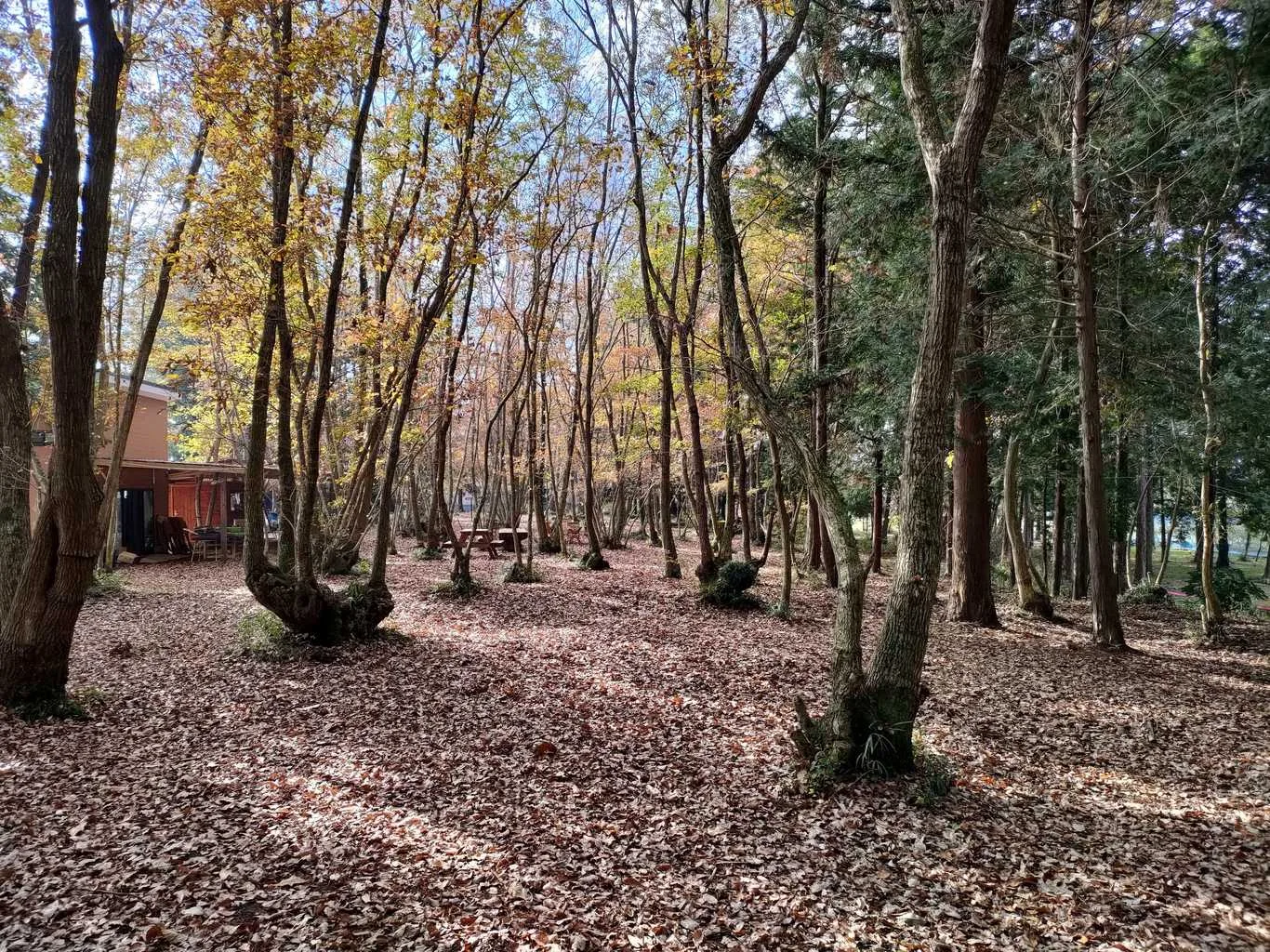 Ishigura Sanson Tami Ikoi Forest Campground