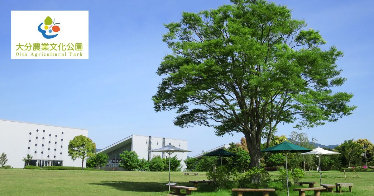 Ruru Park Auto Campground